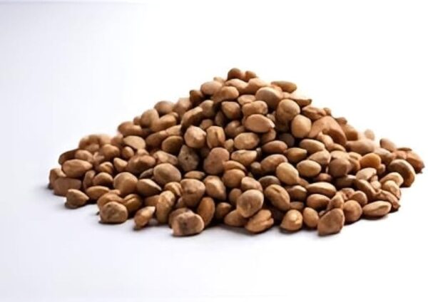 Chironji (Cuddapah almond)