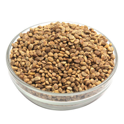Chironji (Cuddapah almond)