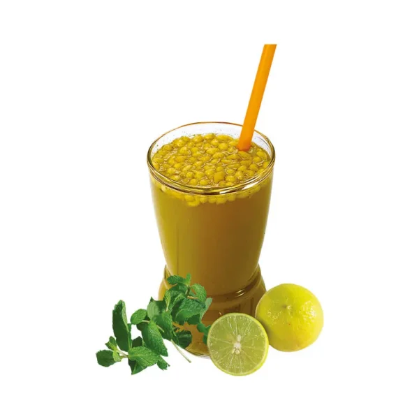Munshi Panna Jaljeera Masala. 50g, 100g