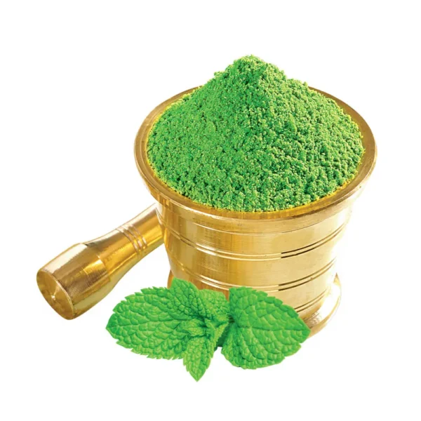 Munshi Panna Pudina Powder - 50g,