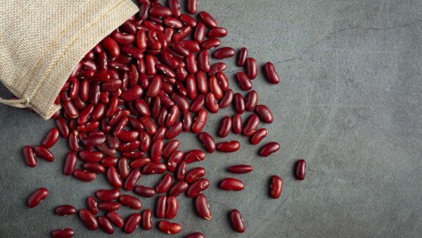 Rajma - 500gm, 1kg,