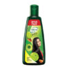 Shanti amla Hair oil - 240ml